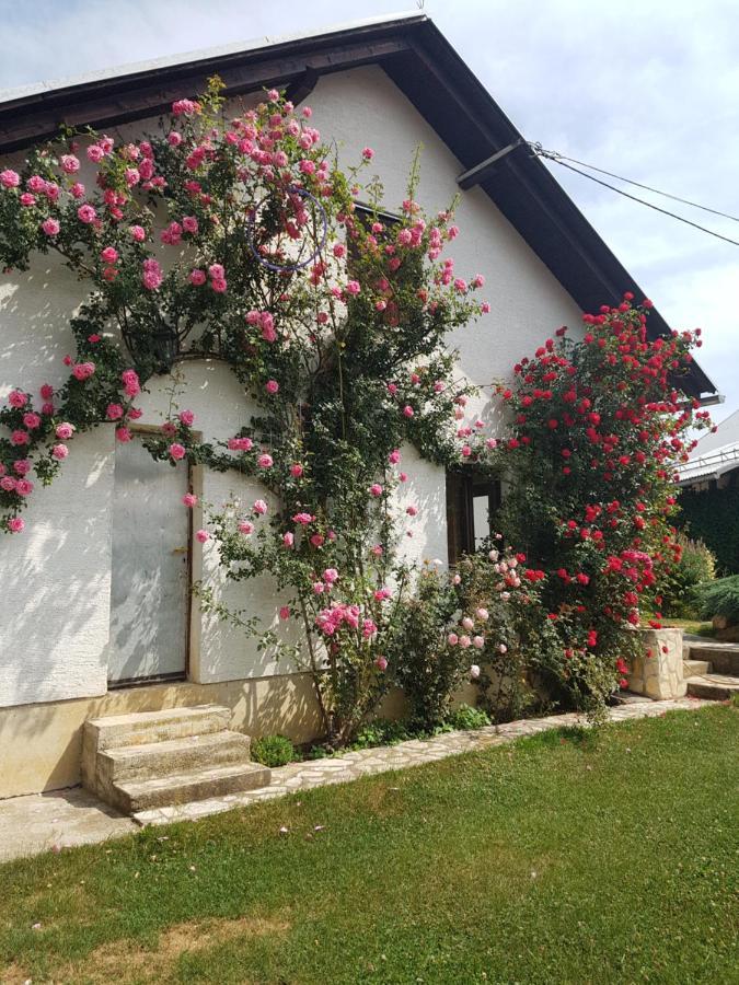 Apartman Ivano Apartment Gospic Luaran gambar